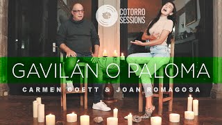 Gavilán O Paloma - Cotorro Sessions (feat. Joan Romagosa y Carmen Goett)