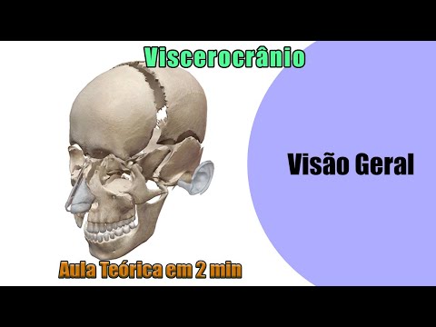 viscerocranio-zigomatico-maxila-mandibula-palatino-nasal-vômer