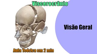 viscerocranio-zigomatico-maxila-mandibula-palatino-nasal-vômer