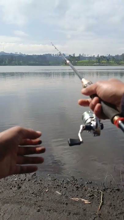 PERISTIWA PARAH SAAT MANCING #fishing #mancing #ikan #angler