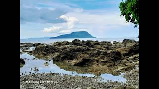 3 step Island Araki Stone Island