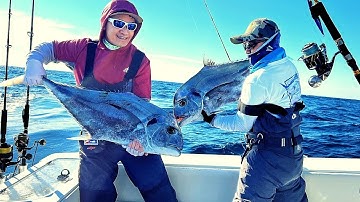 Jigging Master Hốt Cá Bè Lão & Cá Ngừ - Phần 2