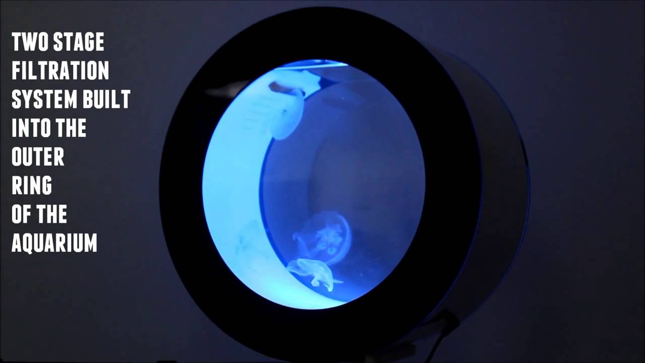 Cubic Orbit 20 Desktop Jellyfish Aquarium Preview Youtube