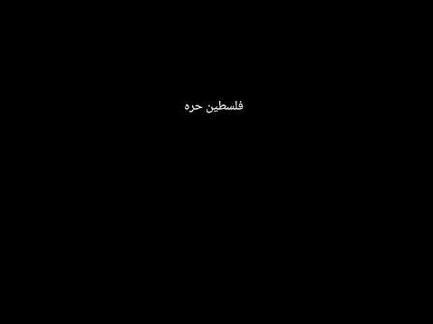 ١٢ أغسطس ٢٠٢٤