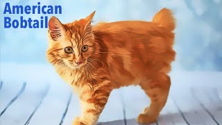Uncovering the Unbelievable Look of the American Bobtail Cat!