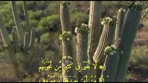 #قناة_أبو_الحمزة_الشويخي""من سورة النساء""بصوت خالي أبي العباس الجبوري