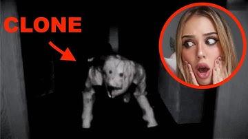 if you see this CLONE in your BASEMENT, RUN!! *DARK WEB*