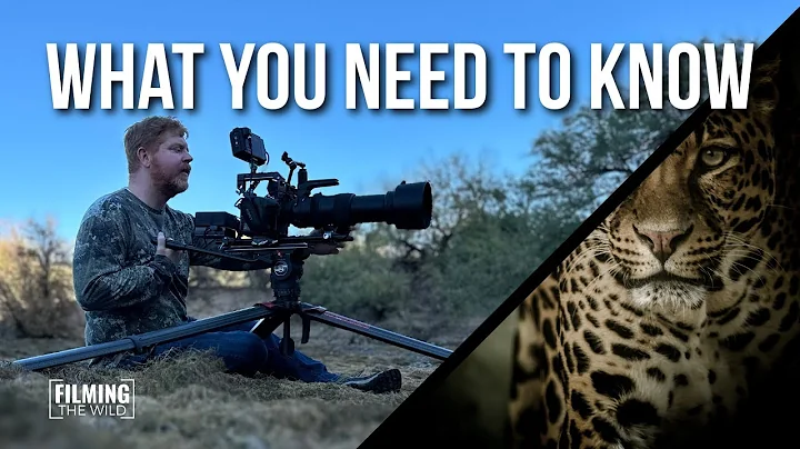 How To Get Started as a Wildlife Filmmaker