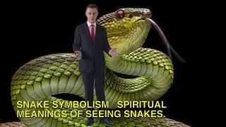 Snake Symbolism   Spiritual Meanings Of Seeing Snakes