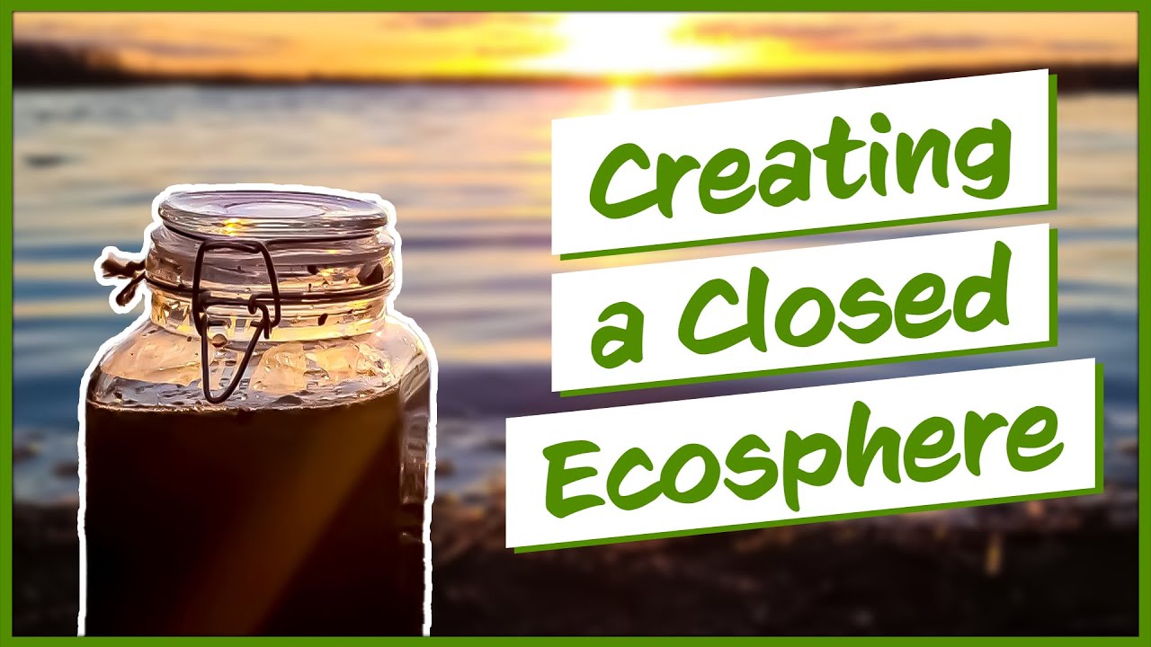 Creating a Woodland Lake Ecosphere Ecosystem In A Jar! - KidzTube