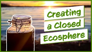 Creating a Woodland Lake Ecosphere Ecosystem In A Jar!