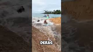 jangan melakukan itu #FYP #Reels #Viral #KamuHarusTahu #LifeHack #Ngakak #FaktaUnik