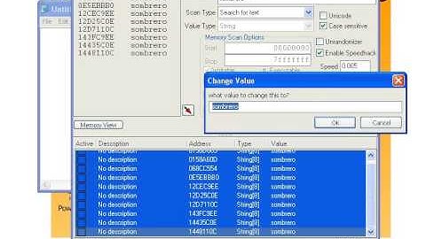 Stick Run Pilot Hat Hack Wearing 2014