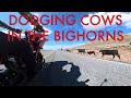 Riding wyoming episode 2 cruising the bighorns