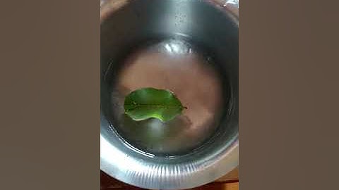 Ln:4 - Chemistry, "Sorting Materials into Groups" for Grade VI (4.5.20)