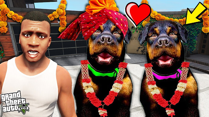 Franklin Found Chop's SECRET MARRIAGE and Puppies in GTA 5!