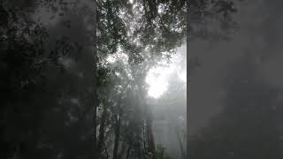 Churuli Bgm Horror Sound