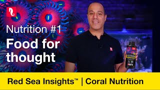 Coral Nutrition - Food For Thought