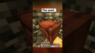 Minecraft The Snail Meme😱🐌 #shorts