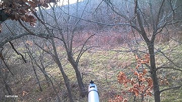 Muzzle Loader Bobcat