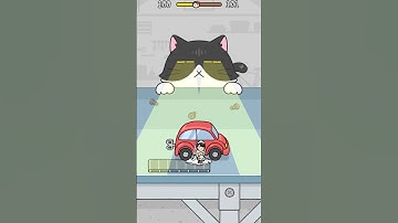 HİDE&SEEK CAT ESCAPE 21 🙀#catescapegame #cats #hideandseekgame #catmemes