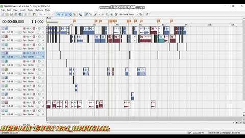 SONY ACID PRO 6 SCRATCH SHOWCASE