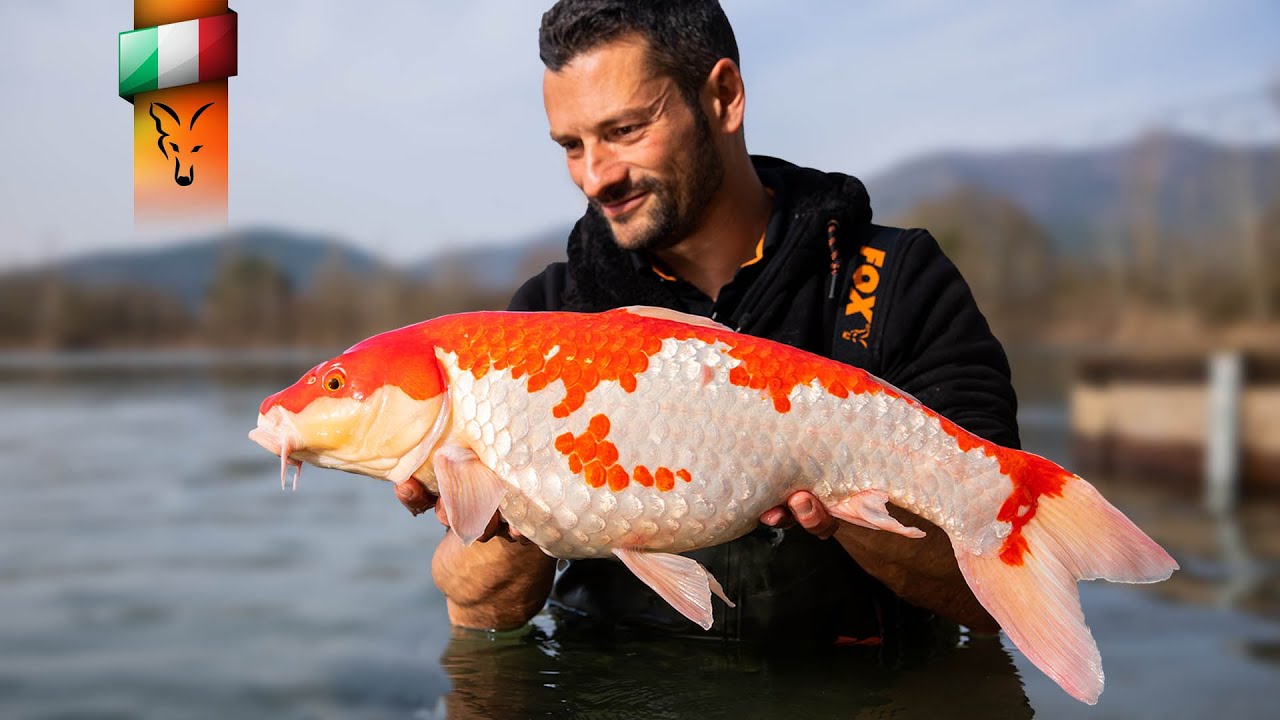 Una Sessione di CARP FISHING Invernale con RICCARDO FANUCCHI