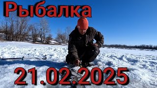 :    21  2025 .,   !     !