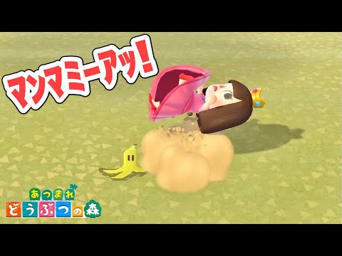 【あつ森】誰よこんなとこにバナナ置いたの!!!【あつまれどうぶつの森】