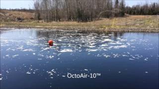 OctoAir™ Diffuser for Wastewater Aeration