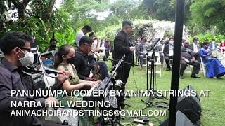 Panunumpa (cover) Male vocalist & Anima Strings | Narra Hill Tagaytay wedding | Quartet