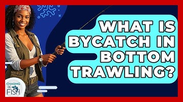 What Is Bycatch In Bottom Trawling? - Chasing Big Fish