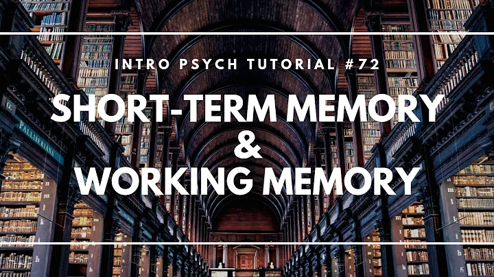 Short-Term Memory and Working Memory (Intro Psych Tutorial #72) - DayDayNews