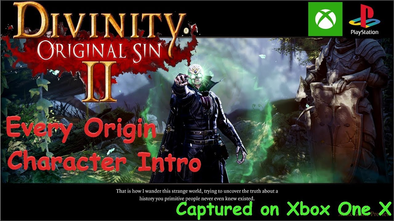 divinity original sin 2 origin or custom divinity original sin 2 origin or custom