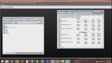All Unit Root Test in Eviews
