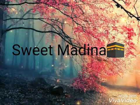Sweet madina sweet madina very lovely
