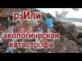 Река Или. На берегах растут горы мусора. Экология Казахстана.