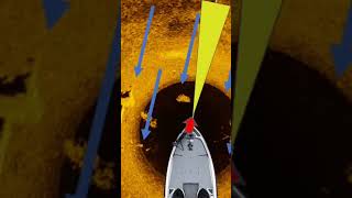 Livescope Or Mega360 ?