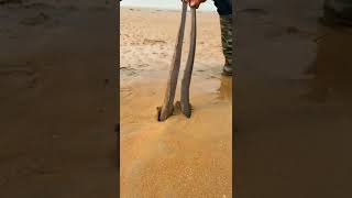 Download Lagu YouTube short video#tiktok video#rills MP3