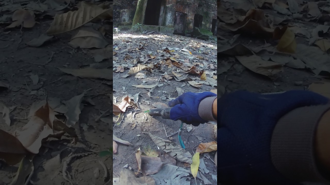 "Treasure Hunting Secrets: Big Discovery!" 