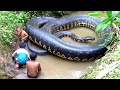 This Giant Snake Shows How Powerful Nature Really Is