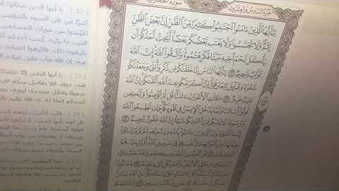 سورة الحجرات من آية 12 إلى آية 14 تعليم القرآن الكريم الصف الرابع ابتدائي