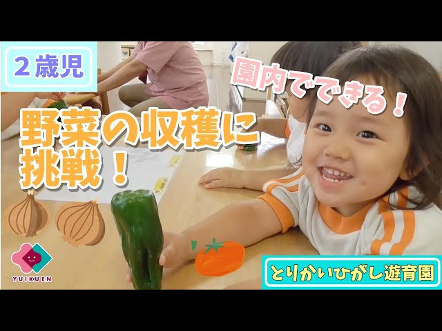 収穫祭