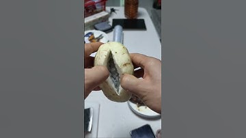 GI599819 mini rotary tillage and ridging all-in one tree 🌲 short view#subscribe