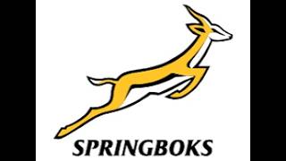 SOUTH AFRICAN SPRINGBOK SQUAD SCOUTING BREAKDOWN (45PLAYERS)