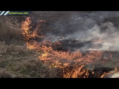 На Волині небайдужі