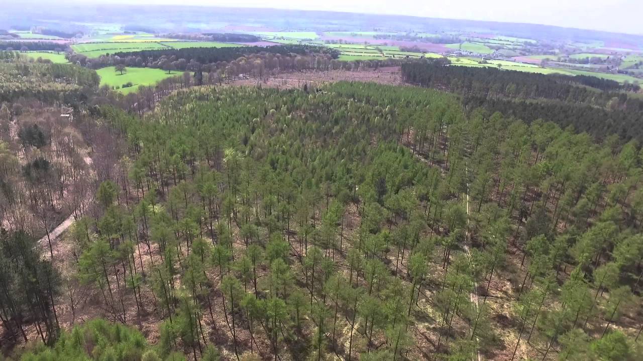 hanchurch woods mtb