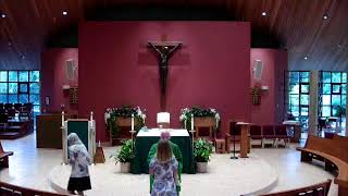 Tuesday of the 14th Week in Ordinary Time: 7/75/26