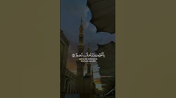 لقد جاءكم رسول من أنفسكم عزيز عليه ما عنتم حريص عليكم || سورة التوبة || القارئ: محمد اللحيدان