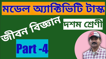 Model activity task life science 2021 class 10,part -4 || মডেল অ্যাক্টিভিটি টাস্ক জীবন বিজ্ঞান-দশম |